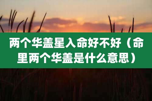 两个华盖星入命好不好（命里两个华盖是什么意思）