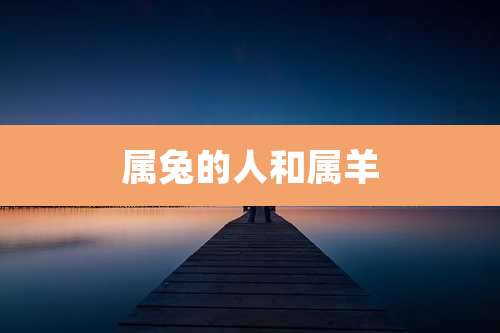 属兔的人和属羊