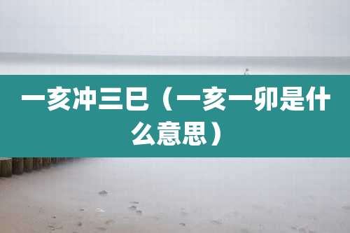 一亥冲三巳(一亥一卯是什么意思)