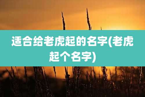 适合给老虎起的名字(老虎起个名字)