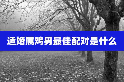 适婚属鸡男最佳配对是什么