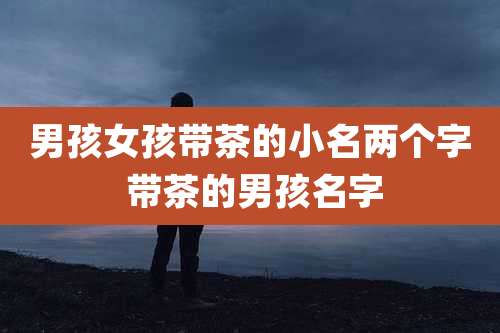 男孩女孩带茶的小名两个字 带茶的男孩名字