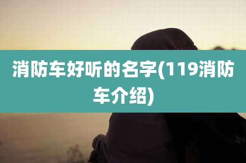 消防车好听的名字(119消防车介绍)
