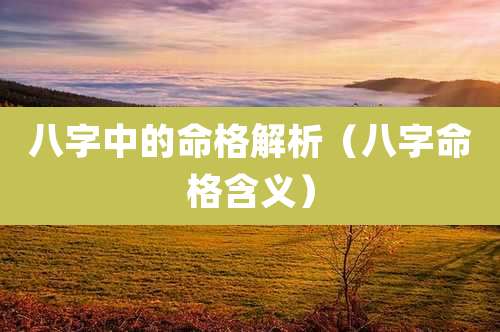 八字中的命格解析(八字命格含义)