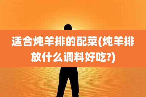 适合炖羊排的配菜(炖羊排放什么调料好吃?)