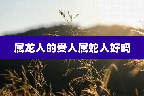 属龙人的贵人属蛇人好吗