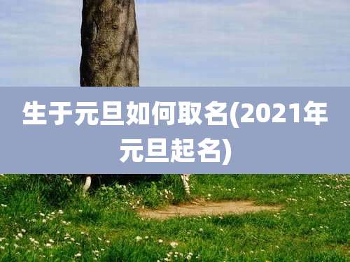 生于元旦如何取名(2021年元旦起名)