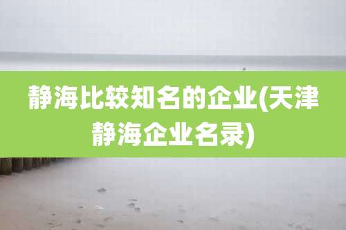 静海比较知名的企业(天津静海企业名录)