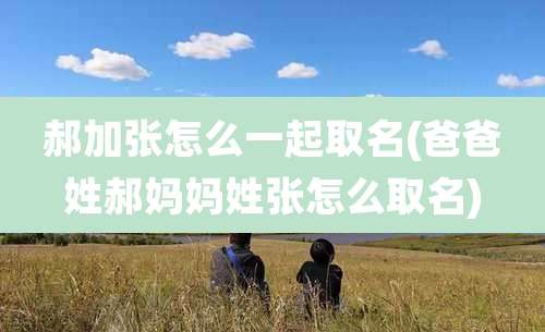 郝加张怎么一起取名(爸爸姓郝妈妈姓张怎么取名)