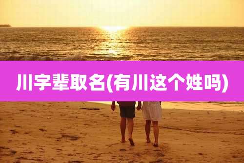 川字辈取名(有川这个姓吗)