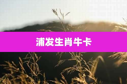 浦发生肖牛卡