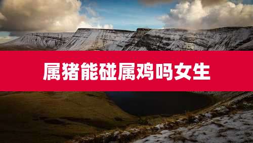 属猪能碰属鸡吗女生