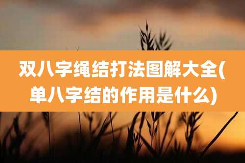 双八字绳结打法图解大全(单八字结的作用是什么)