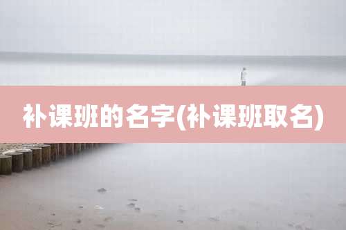 补课班的名字(补课班取名)
