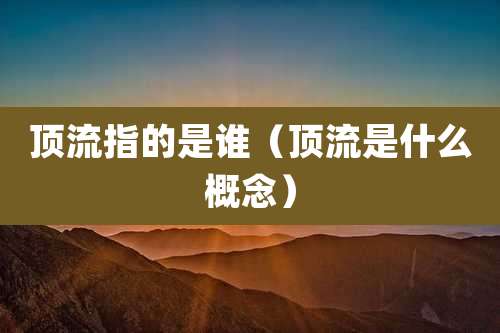 顶流指的是谁（顶流是什么概念）