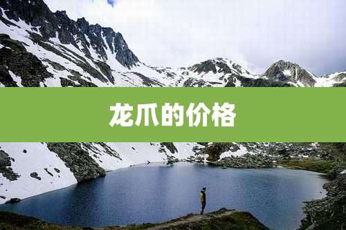 龙爪的价格