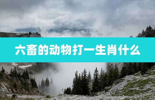 六畜的动物打一生肖什么