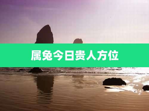 属兔今日贵人方位