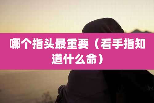 哪个指头最重要(看手指知道什么命)