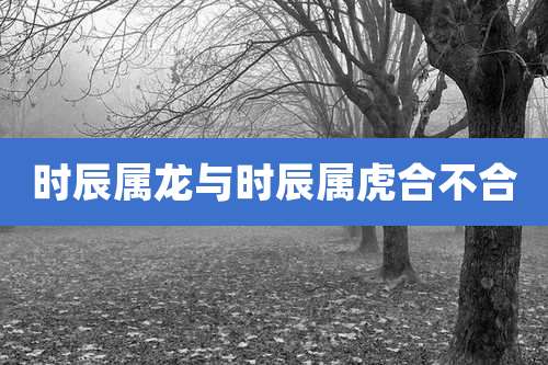 时辰属龙与时辰属虎合不合