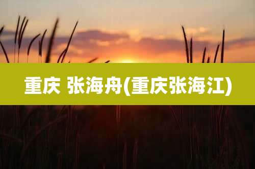 重庆 张海舟(重庆张海江)