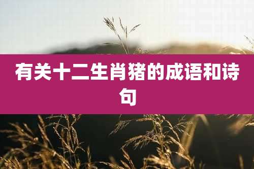 有关十二生肖猪的成语和诗句