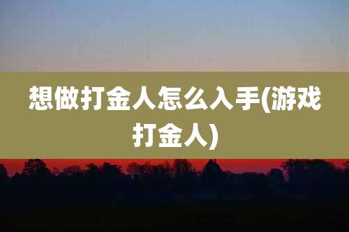 想做打金人怎么入手(游戏打金人)