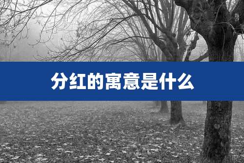 分红的寓意是什么
