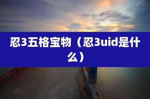 忍3五格宝物(忍3uid是什么)