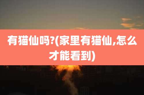 有猫仙吗?(家里有猫仙,怎么才能看到)