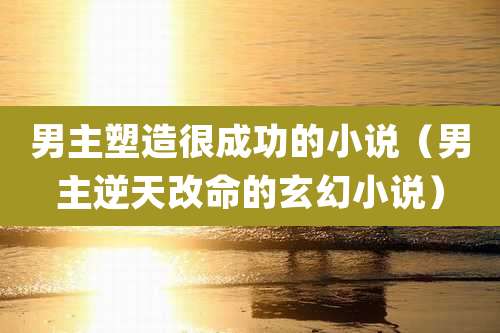男主塑造很成功的小说（男主逆天改命的玄幻小说）