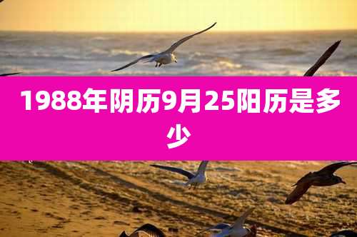 1988年阴历9月25阳历是多少