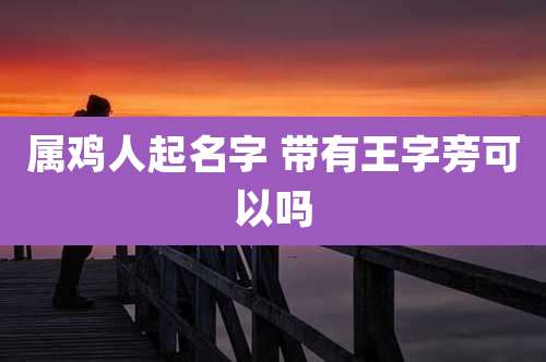 属鸡人起名字 带有王字旁可以吗