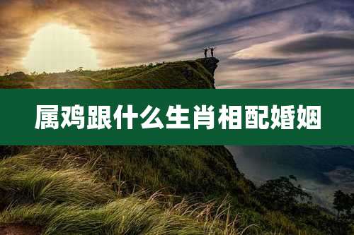 属鸡跟什么生肖相配婚姻