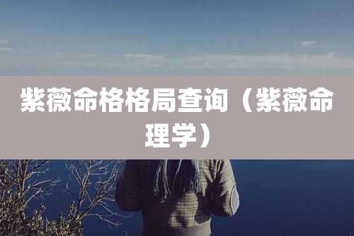 紫薇命格格局查询(紫薇命理学)