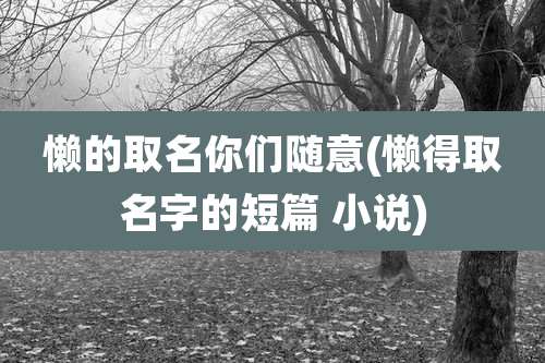 懒的取名你们随意(懒得取名字的短篇 小说)