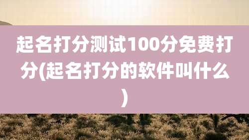 起名打分测试100分免费打分(起名打分的软件叫什么)