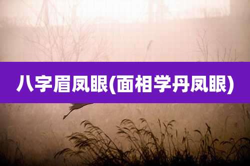 八字眉凤眼(面相学丹凤眼)
