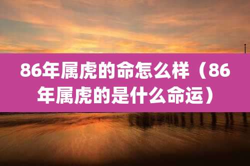 86年属虎的命怎么样(86年属虎的是什么命运)