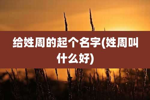 给姓周的起个名字(姓周叫什么好)