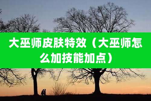 大巫师皮肤特效(大巫师怎么加技能加点)