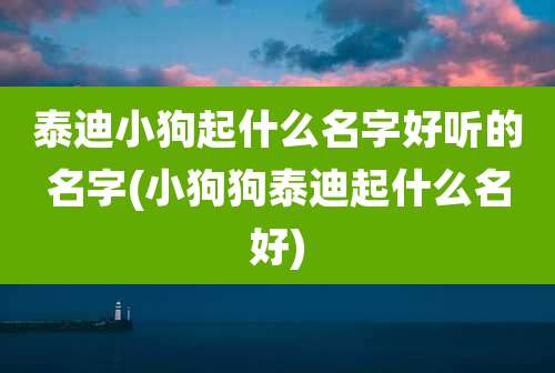 泰迪小狗起什么名字好听的名字(小狗狗泰迪起什么名好)