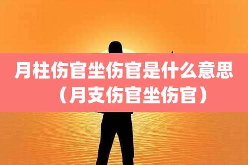 月柱伤官坐伤官是什么意思（月支伤官坐伤官）
