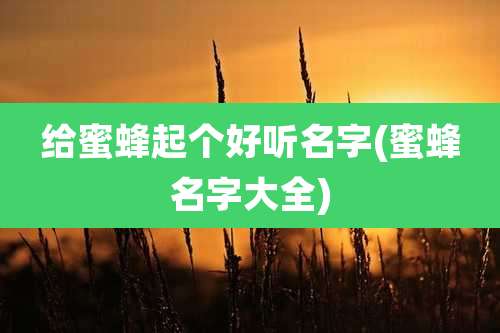 给蜜蜂起个好听名字(蜜蜂名字大全)