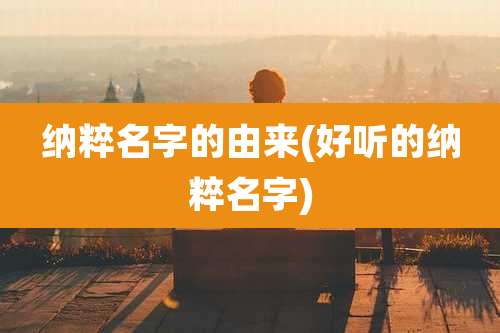 纳粹名字的由来(好听的纳粹名字)