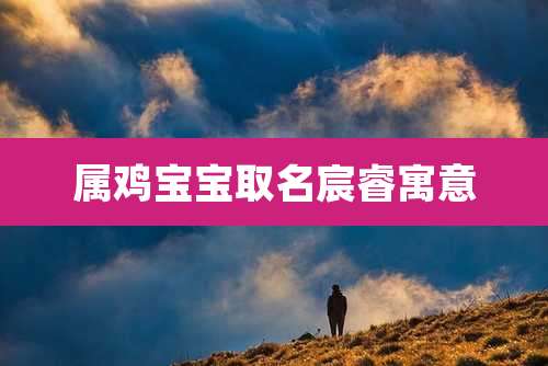 属鸡宝宝取名宸睿寓意