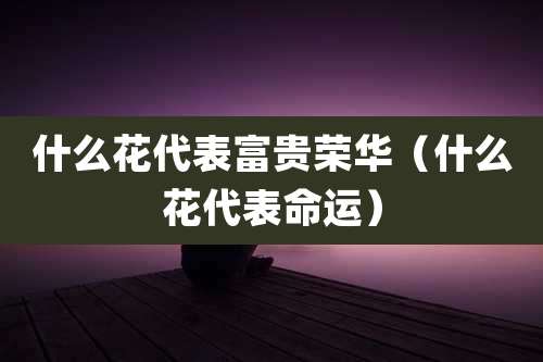 什么花代表富贵荣华(什么花代表命运)