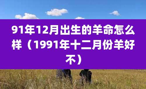 91年12月出生的羊命怎么样(1991年十二月份羊好不)