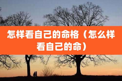 怎样看自己的命格（怎么样看自己的命）