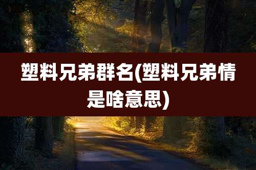 塑料兄弟群名(塑料兄弟情是啥意思)